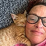 cat, closeup, comfort, cozy, cute, face, glasses, hug, indoor, kitten, orange_tabby, pet, pink_hoodie, portrait, relaxation, resting, sleeping, snuggle, texture, woman