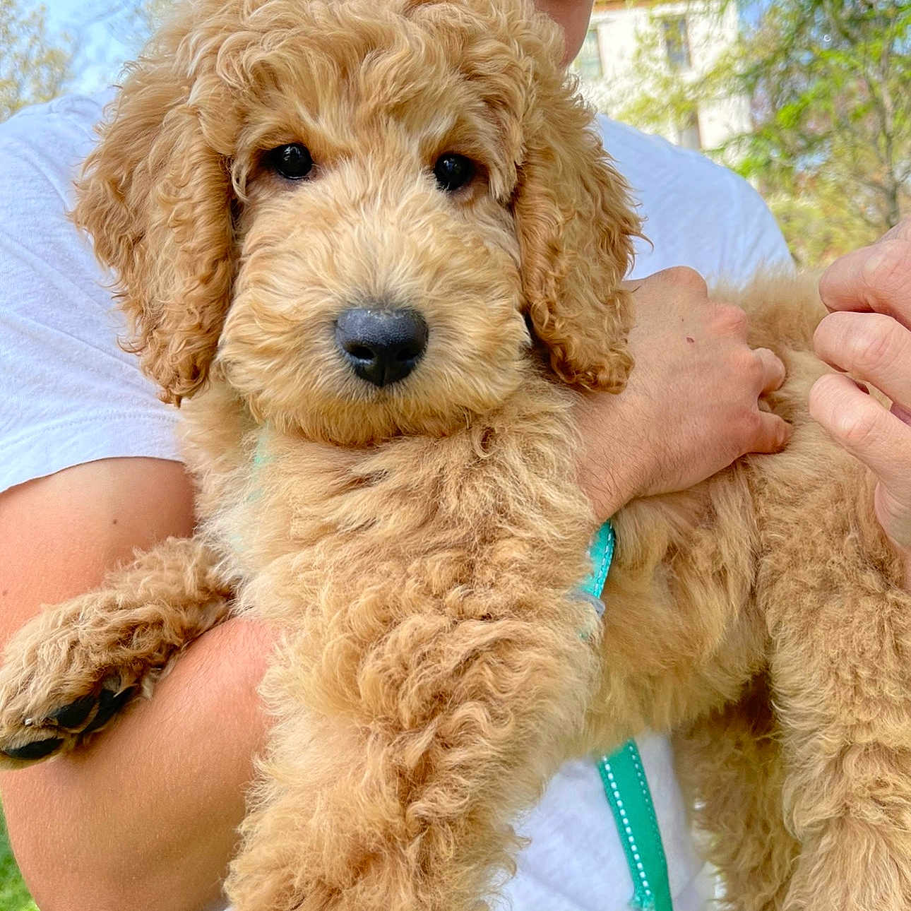 Charlie