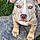 Kona