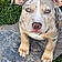 Kona