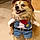 Buddy