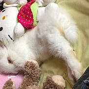 Fiby a rejoint le concours — aidez-le/la à gagner de superbes lots !