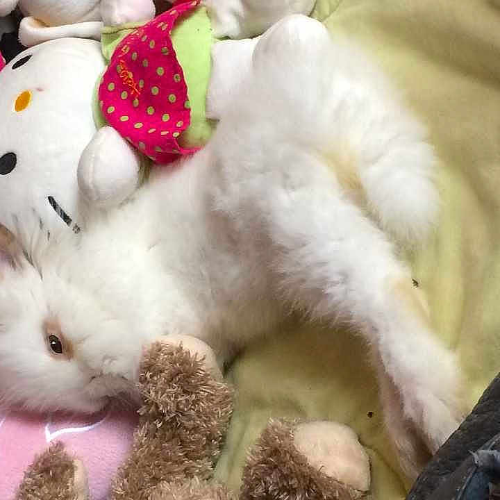 Fiby a rejoint le concours — aidez-le/la à gagner de superbes lots !