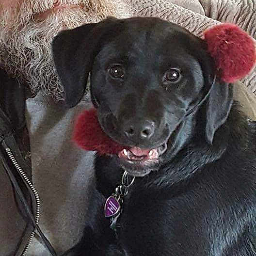 Skylar