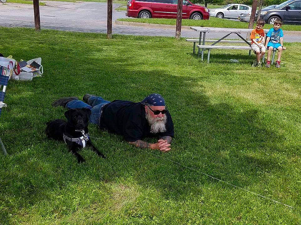 Skylar joined the competition — help win amazing prizes! backyard, dog, dog_like_mammal, garden, grass, headwear, lawn, meadow, obedience_training, obedience_trial, pasture, person, plant, sporting_group, tree, yard