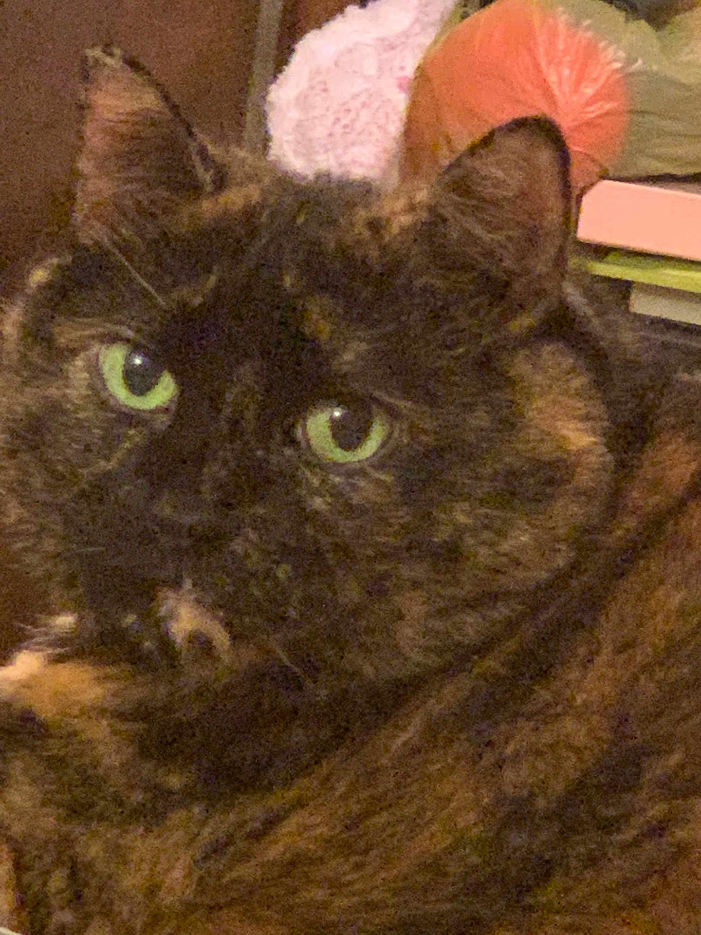 Kiki