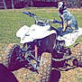 Gizmo is registered to the contest to win money with this photo: dog, blue_heeler, atv, muddy, grass, trees, outdoor, vehicle, animal, nature, parked, sunny, daytime, pet, four_wheeler, off_road, dirt, leafless_trees, canine, rural