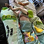 Zelda is registered to the contest to win money with this photo: blanket, colorful, comfort, cozy, cute, dog, fabric, floor, floral, home, indoor, paw, pet, relaxed, resting, shoe_rack, sleeping, small_dog, soft, towel