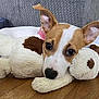 Zelda joined the competition — help win amazing prizes! puppy, dog, stuffed_toy, floor, wooden_floor, toy, can, diet_coke, green_toy, ears, couch, indoor, pet, cute, lying_down, brown_and_white, animal, domestic_animal, resting, playful