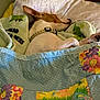 animal, bed, blanket, collar, comfort, cozy, cute, dog, floral_pattern, frog_pattern, home, indoor, patchwork, pet, pillow, quilt, relaxing, resting, sleeping, soft