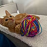 Ahri a rejoint le concours — aidez-le/la à gagner de superbes lots ! kitten, orange_cat, yarn_ball, colorful, soft_blanket, indoor, cute, pet, playful, feline, whiskers, paws, curious, young_cat, relaxed, cozy, bedside, close_up, fur, domestic_cat