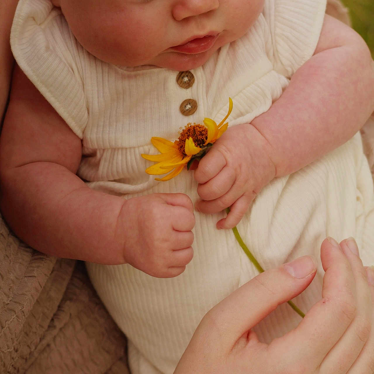 Brynley is registered to the contest to win money with this photo: arm, baby, bracelet, child, close_up, clothing, cute, flower, gentle, hand, holding, human, infant, nature, outdoor, portrait, skin, soft_lighting, tender, yellow_flower