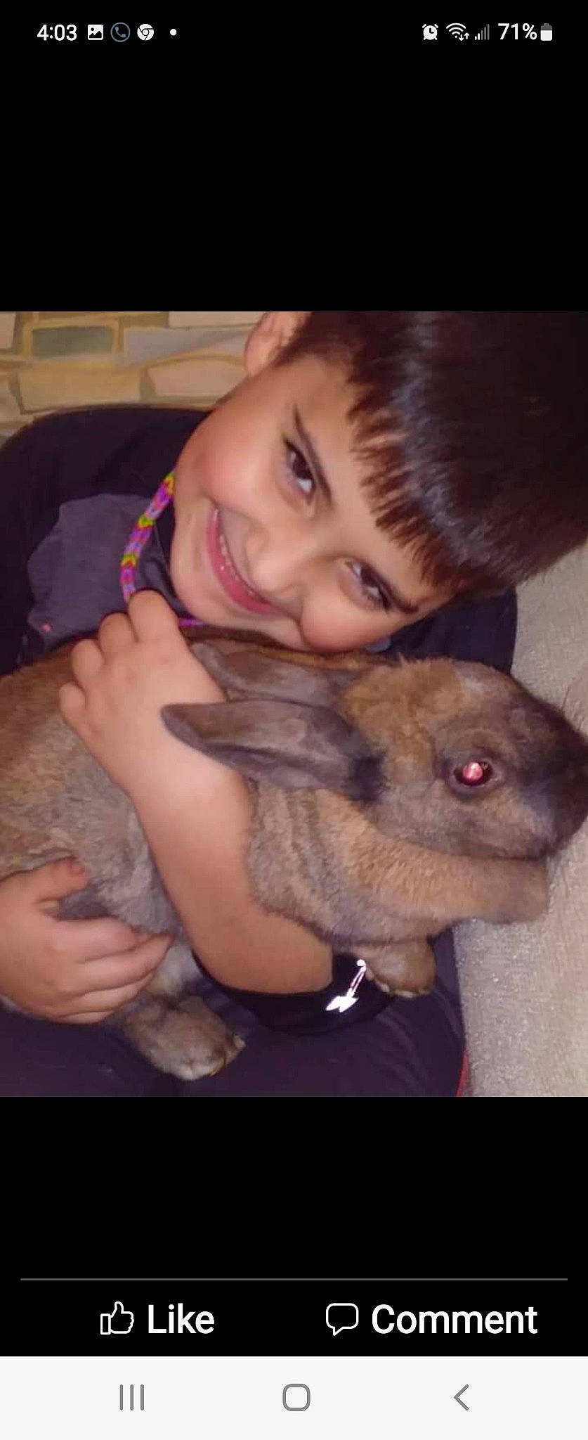 Bentley joined the competition — help win amazing prizes! ear, eye, fawn, finger, gesture, hand, happy, head, joy, lower_keys_marsh_rabbit, mammal, mouth, neck, nose, organ, person, rabbit, skin, smile, snout