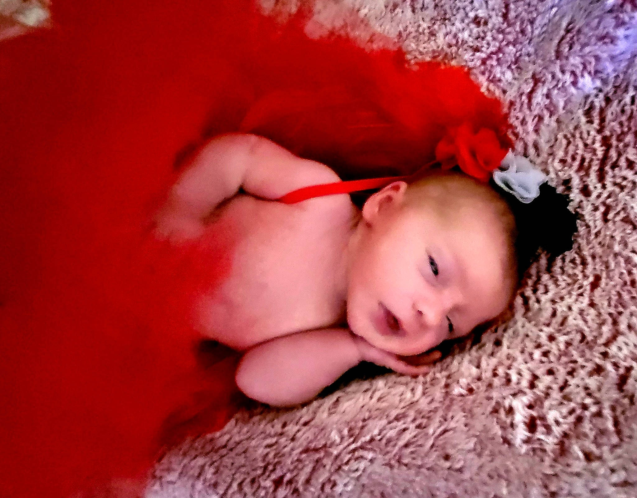 Hazel joined the competition — help win amazing prizes! baby, baby_toddler_clothing, child, close_up, comfort, eye, flash_photography, flooring, fur, iris, linens, lip, mouth, nose, orange, person, skin, textile, toddler, tree