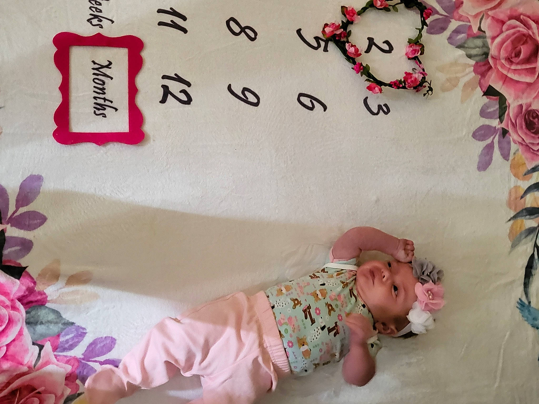 Hazel joined the competition — help win amazing prizes! baby, baby_toddler_clothing, beauty, bed, child, comfort, design, font, happy, headwear, linens, magenta, pattern, person, pink, plant, product, sleeve, textile, toddler