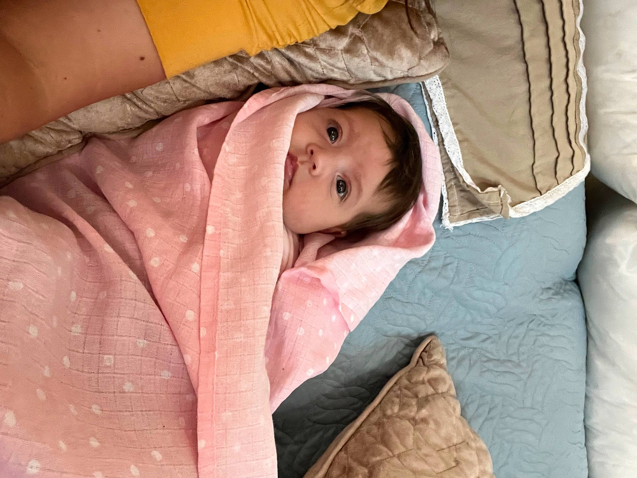 Ella is registered to the contest to win money with this photo: abdomen, baby, bedding, chest, child, comfort, couch, eye, flash_photography, fun, fur, human_leg, linens, person, room, sitting, skin, textile, toddler, tree
