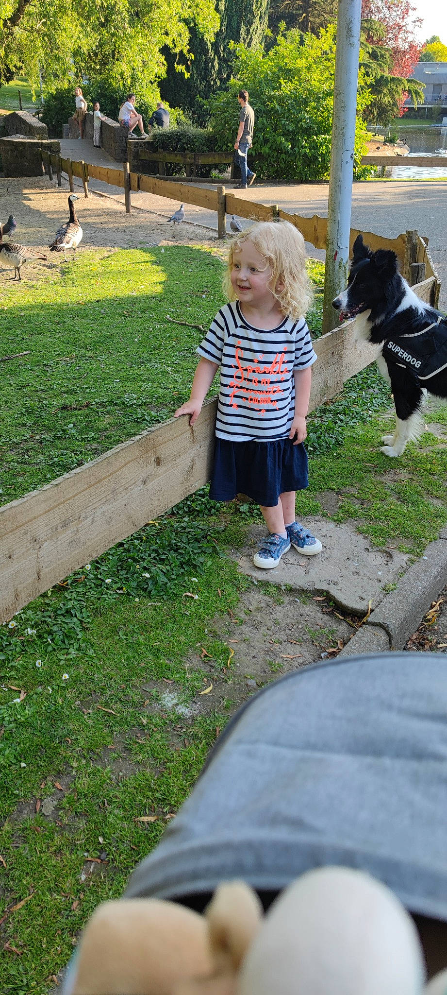 Siloé a rejoint le concours — aidez-le/la à gagner de superbes lots ! bird, botany, fun, grass, hair, human_body, joy, leaf, leg, leisure, mammal, person, photograph, plant, recreation, shorts, snapshot, summer, t_shirt, toddler
