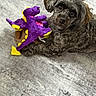 dog, puppy, pet, toy, plush_toy, dragon_toy, purple, yellow, black_fur, fluffy, curly_fur, brown_eyes, lying_down, cuddling, indoor, gray_background, carpet, closeup, adorable, portrait