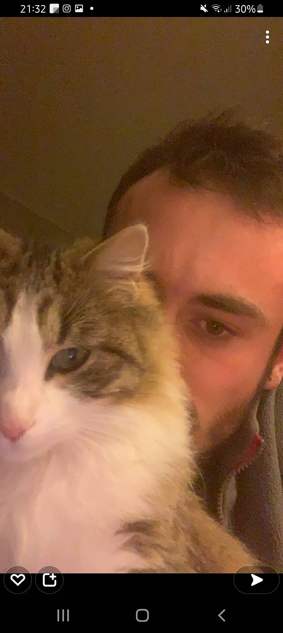 Plume a rejoint le concours — aidez-le/la à gagner de superbes lots ! beard, carnivore, cat, cheek, domestic_short_haired_cat, ear, eyebrow, facial_hair, fawn, felidae, fur, iris, moustache, nose, paw, selfie, small_to_medium_sized_cats, snout, whiskers