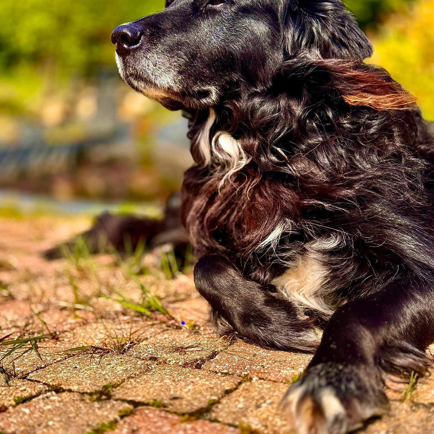 Max