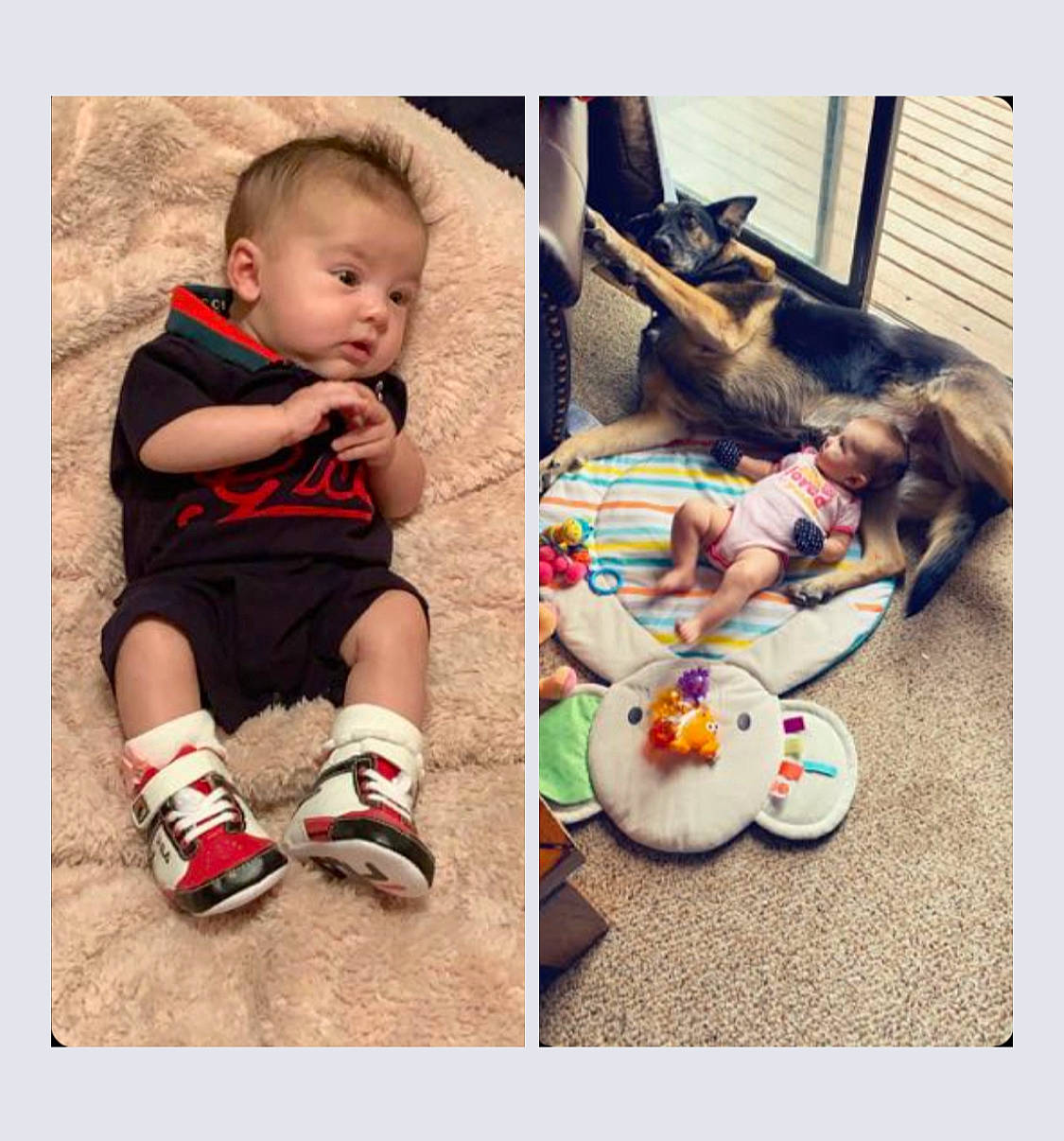 Emerald joined the competition — help win amazing prizes! baby, baby_products, baby_toddler_clothing, child, comfort, fashion_accessory, grass, happy, human_body, mammal, pattern, person, photograph, product, selfie, sitting, sleeve, snapshot, t_shirt, textile