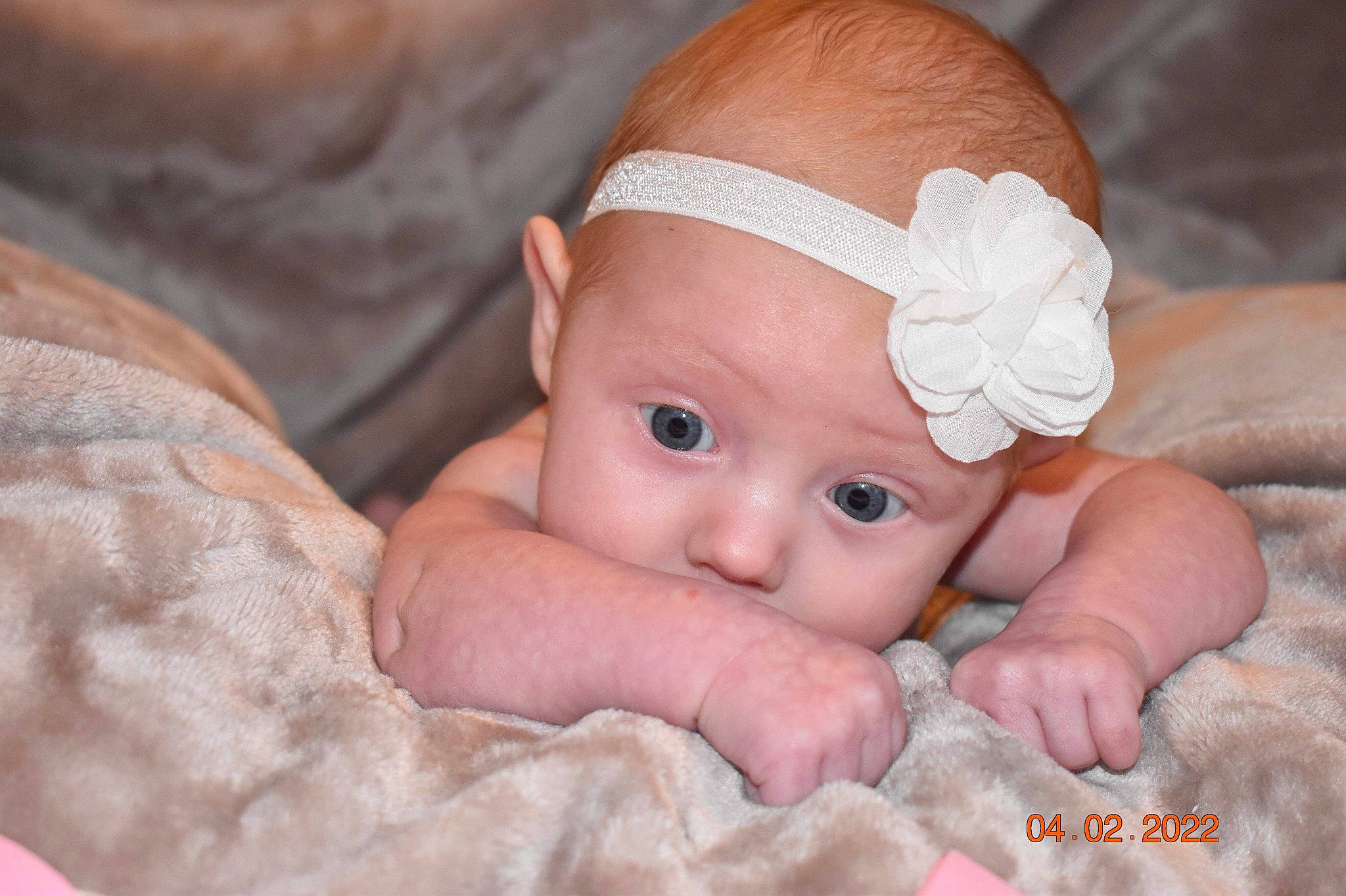 Daisy is registered to the contest to win money with this photo: baby, baby_products, baby_toddler_clothing, cheek, child, comfort, dress, eyelash, fashion_accessory, gesture, grass, happy, headwear, iris, linens, lip, nail, nose, person, skin