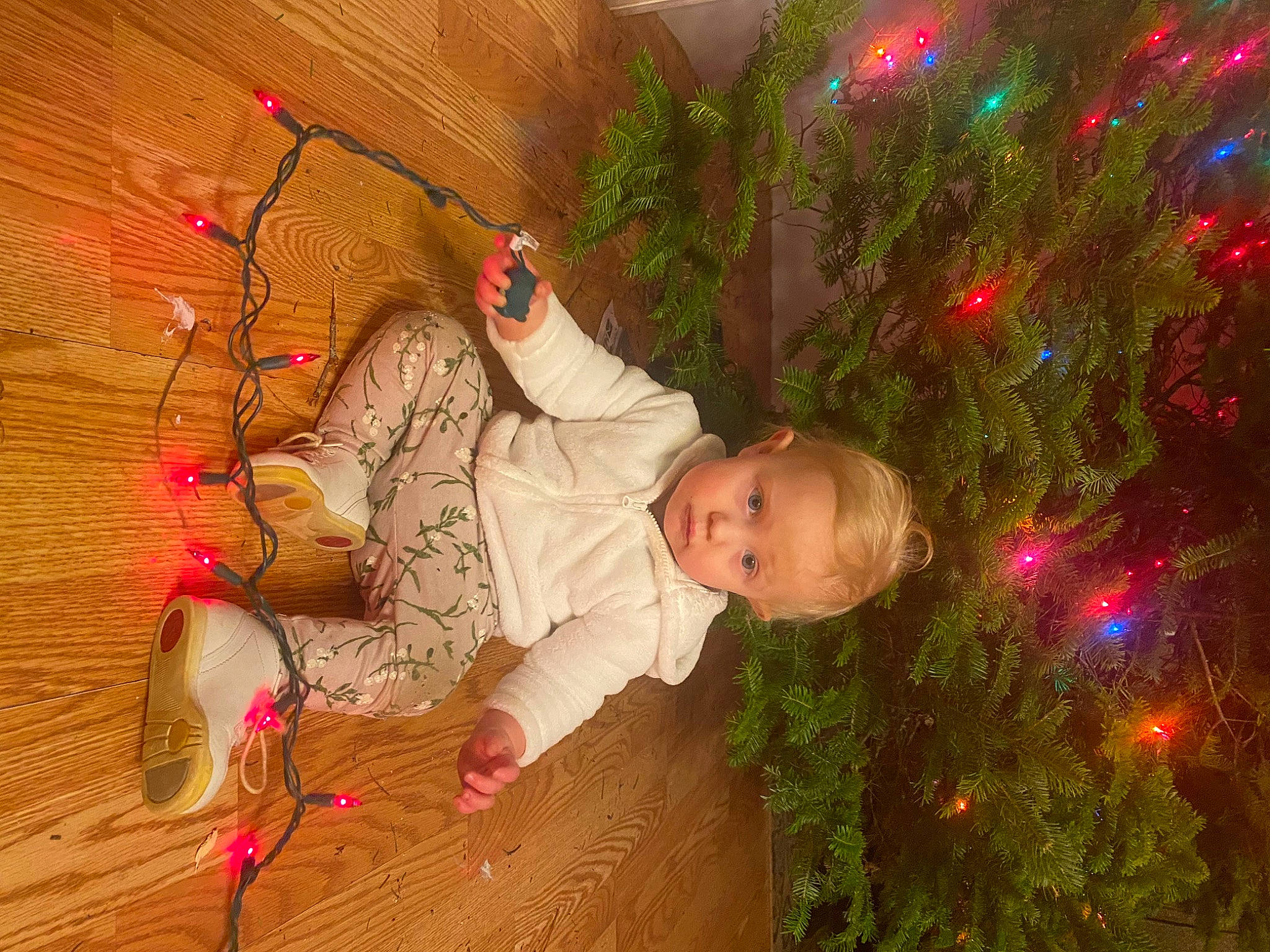 Daisy is registered to the contest to win money with this photo: baby, child, christmas, christmas_decoration, christmas_ornament, christmas_tree, conifer, event, evergreen, fun, grass, happy, holiday, holiday_ornament, ornament, person, plant, smile, toddler, tree