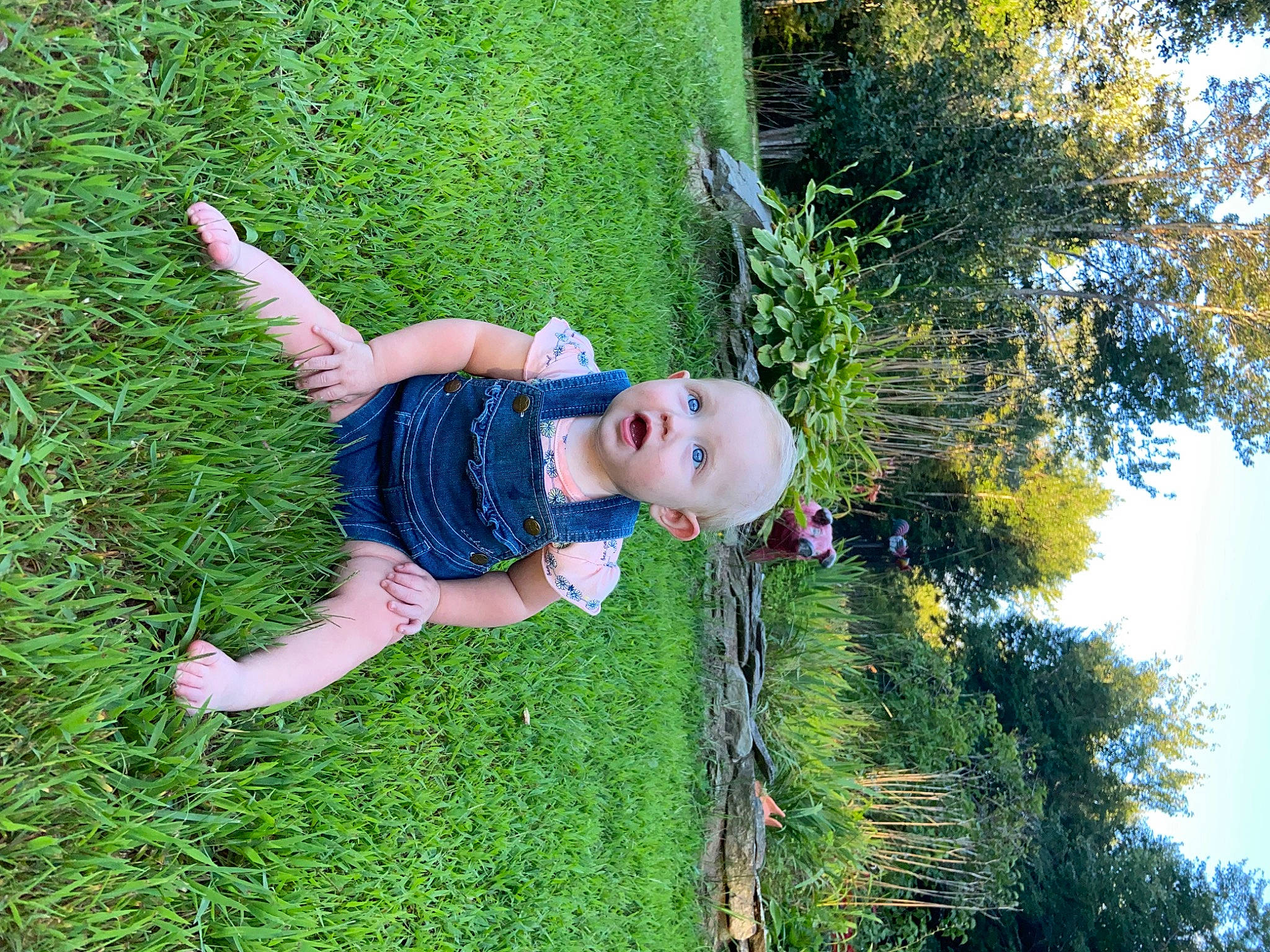 Daisy joined the competition — help win amazing prizes! dress, electric_blue, flower, fun, grass, grassland, green, happy, landscape, lawn, leisure, meadow, people_in_nature, person, plant, recreation, shrub, sky, surprise, terrestrial_plant