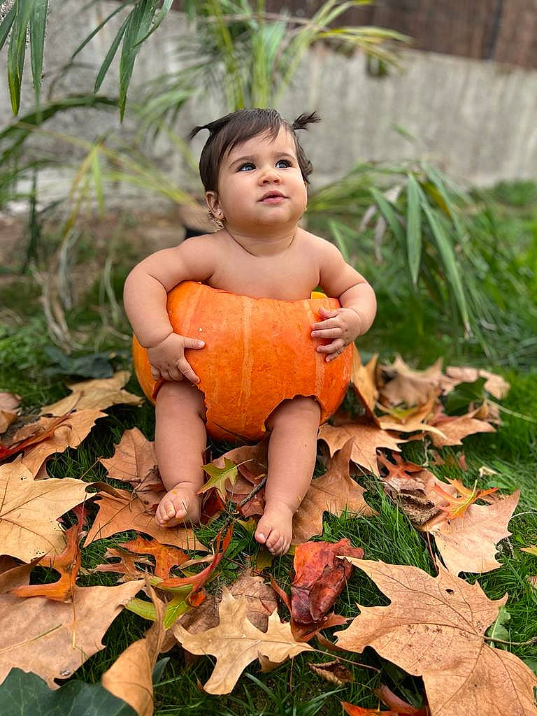 Amalya participe au concours pour gagner de l'argent avec cette photo : adaptation, baby, botany, child, deciduous, doll, foot, garden, grass, happy, leaf, leisure, people_in_nature, person, plant, sitting, tints_and_shades, toddler, toy, tree