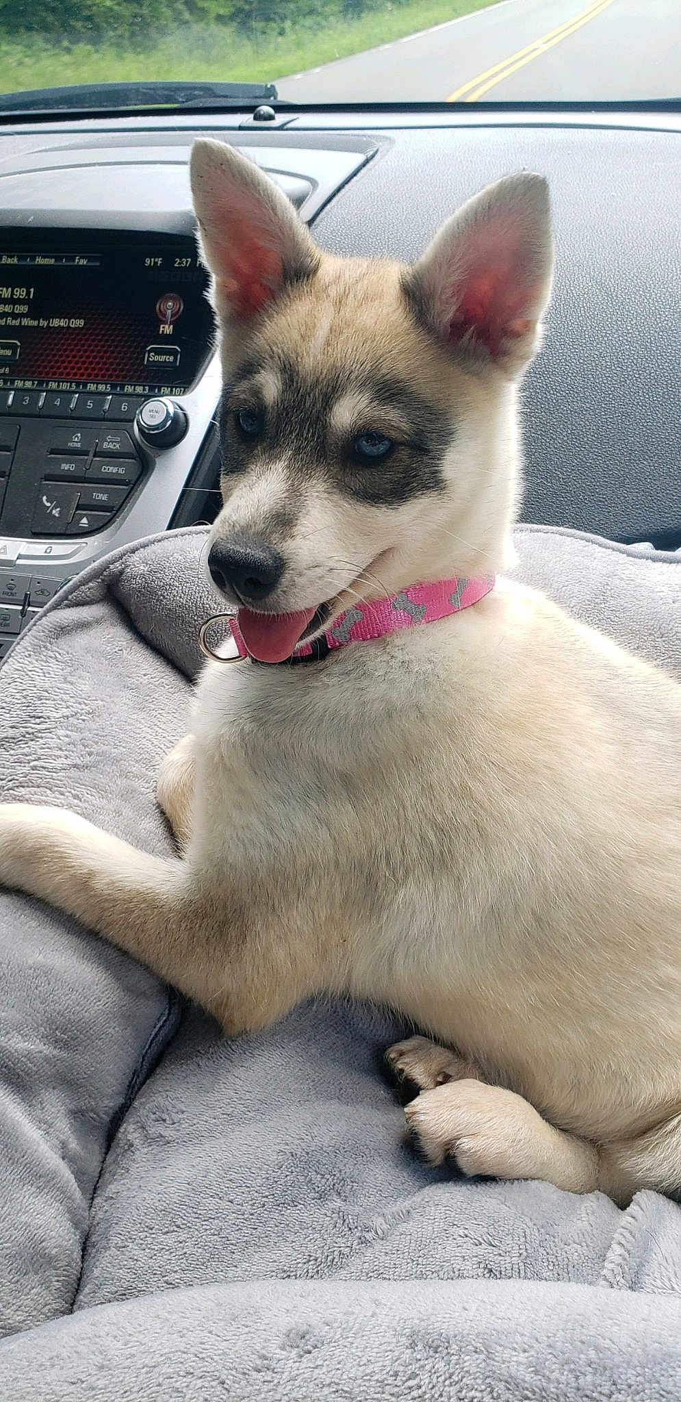 Mia