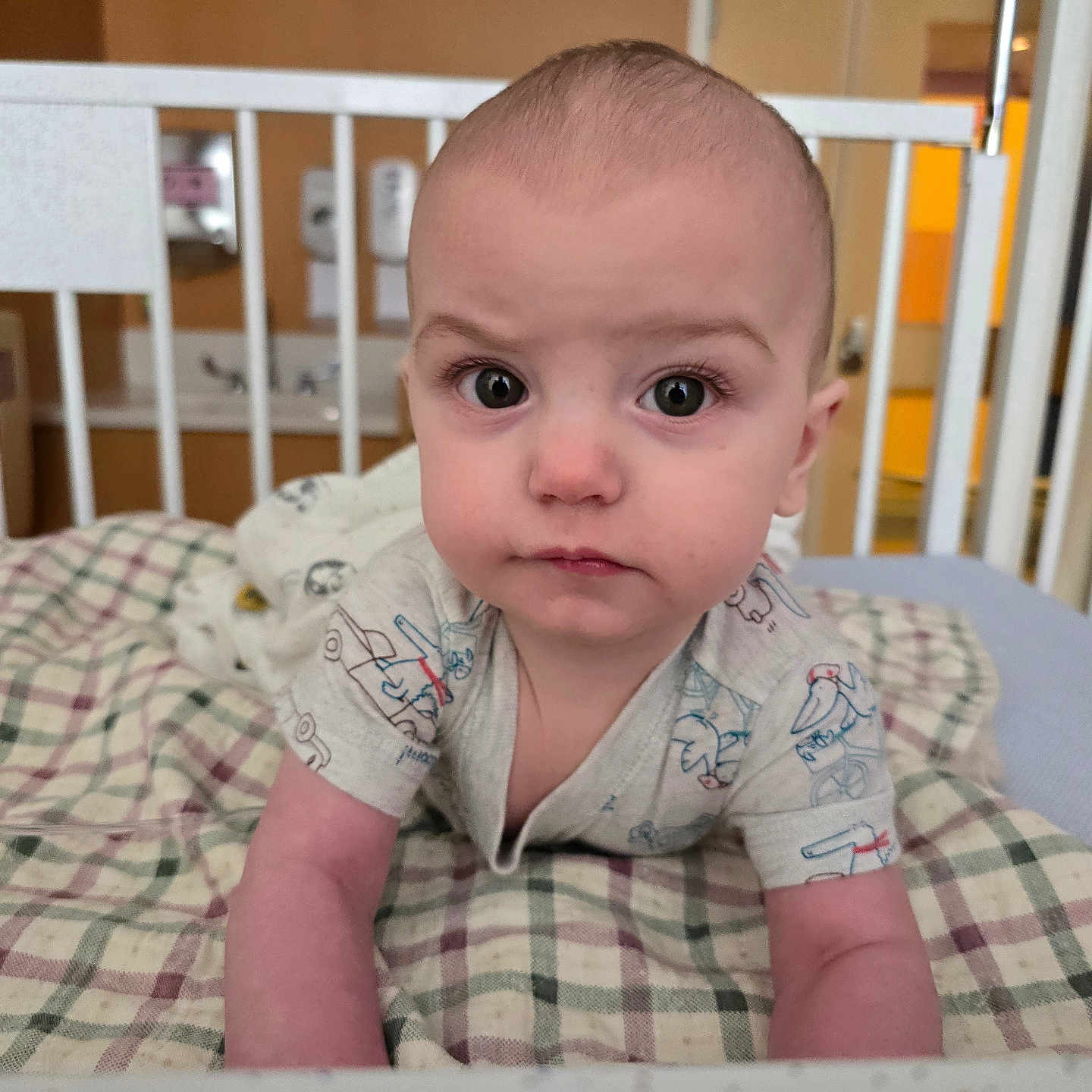 Atlas joined the competition — help win amazing prizes! baby, bed, bedroom, couch, cradle, crawling, crib, cushion, face, furniture, head, homedecor, indoors, infantbed, nursery, person, photography, portrait, quilt, room
