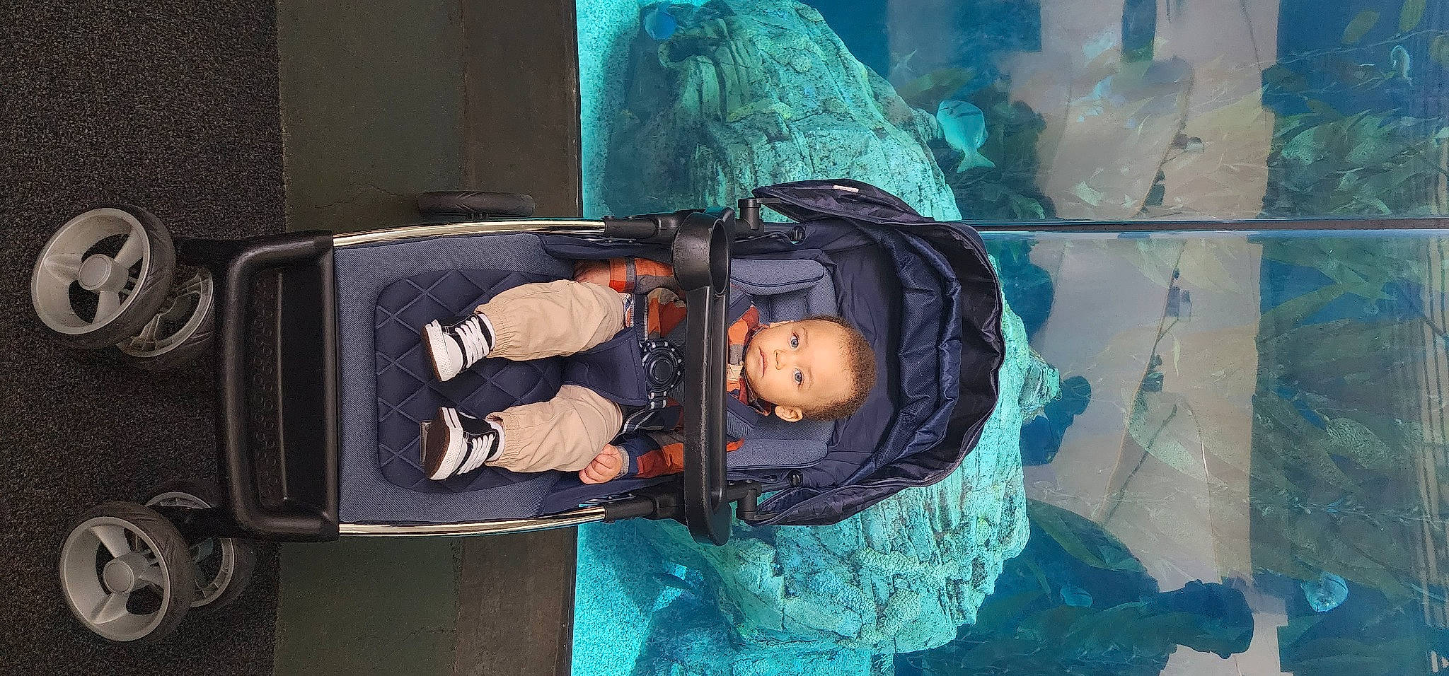 Jay is registered to the contest to win money with this photo: art, baby, baby_carriage, baby_products, baby_safety, baby_toddler_clothing, baggage, cg_artwork, child, comfort, electric_blue, fun, leisure, person, sitting, toddler