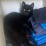 black_cat, cat, animal, pet, feline, folded_clothes, shelf, cozy, indoor, resting, stack, curious, fur, whiskers, tail, yellow_eyes, quiet, home, soft, relaxed