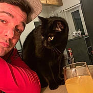 Booba participe au concours pour gagner de l'argent avec cette photo : man, hat, red_shirt, black_cat, cat, table, glass, orange_juice, vape_device, indoor, wooden_beams, curious, companion, face, portrait, furniture, drinks, beverage, casual, cozy