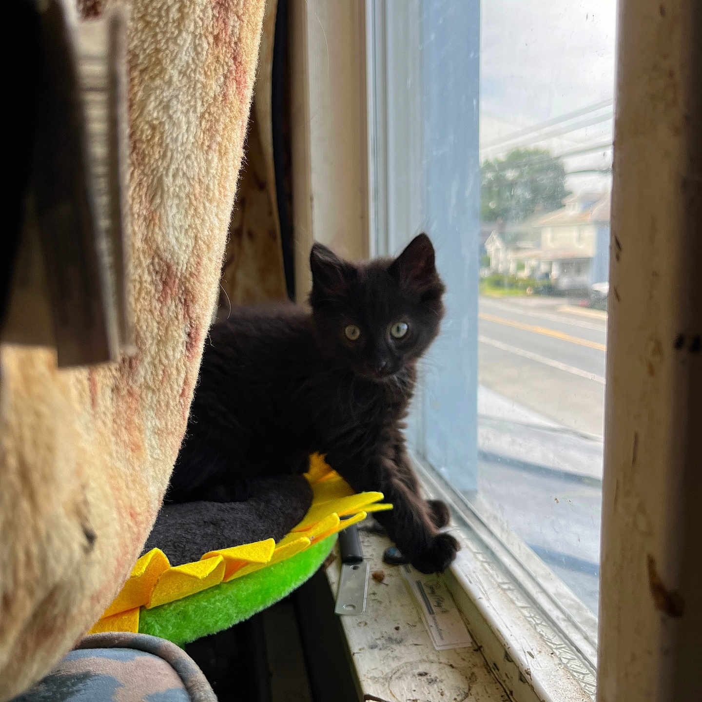 Milo