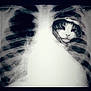 xray, ribcage, cat, face, illusion, black_and_white, funny, surreal, medical_image, pet, animal, composite, creative, humor, vintage_style, scan, bones, grayscale, mammal, portrait