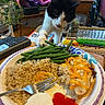 cat, cheese, cup, curious, dining, food, fork, green_beans, indoor, living_room, paper_plate, people_on_tv, pills_organizer, plant, plate, remote_control, rice, table, television, wooden_furniture