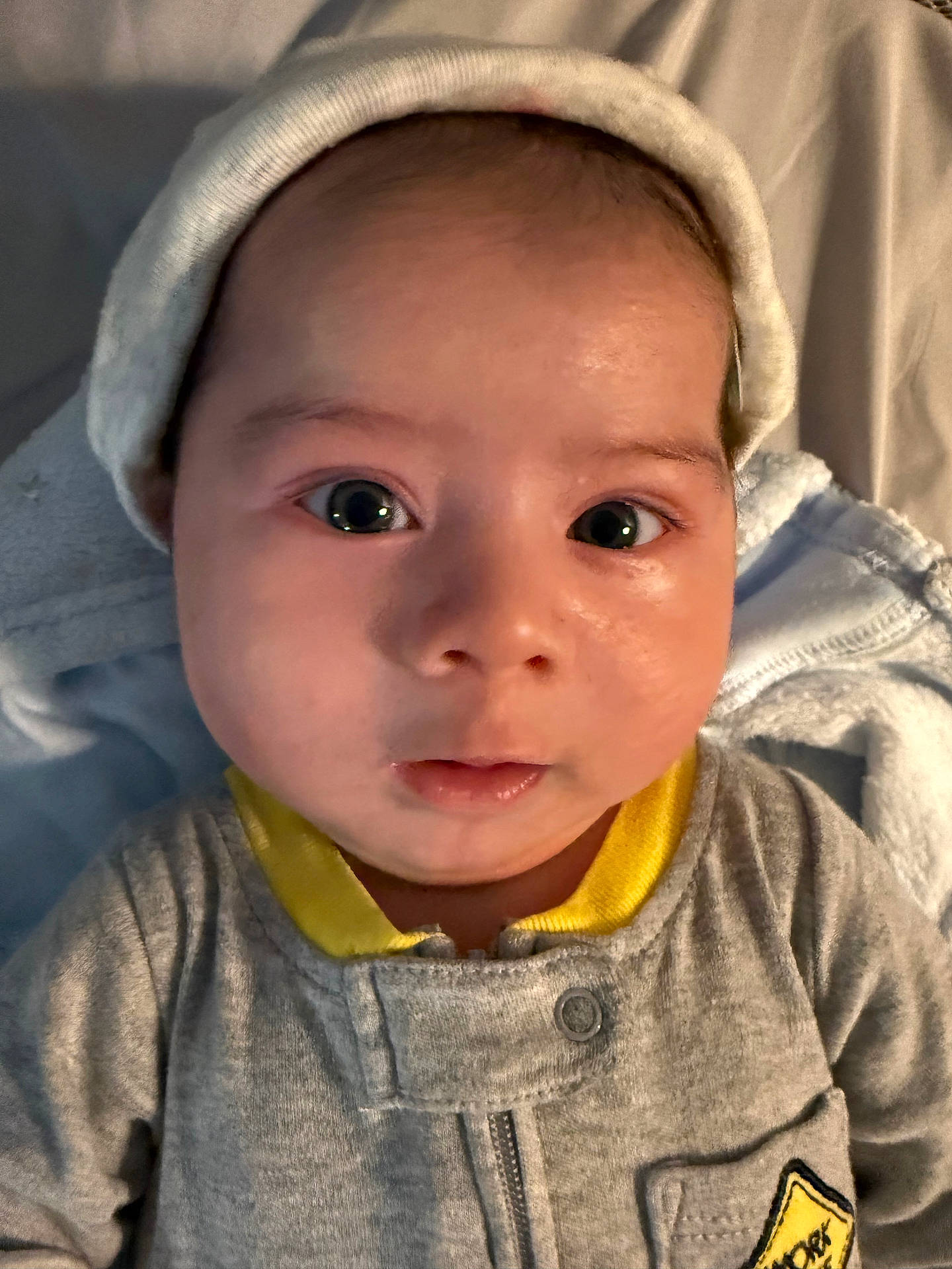 Antonino Buzzone Jr.