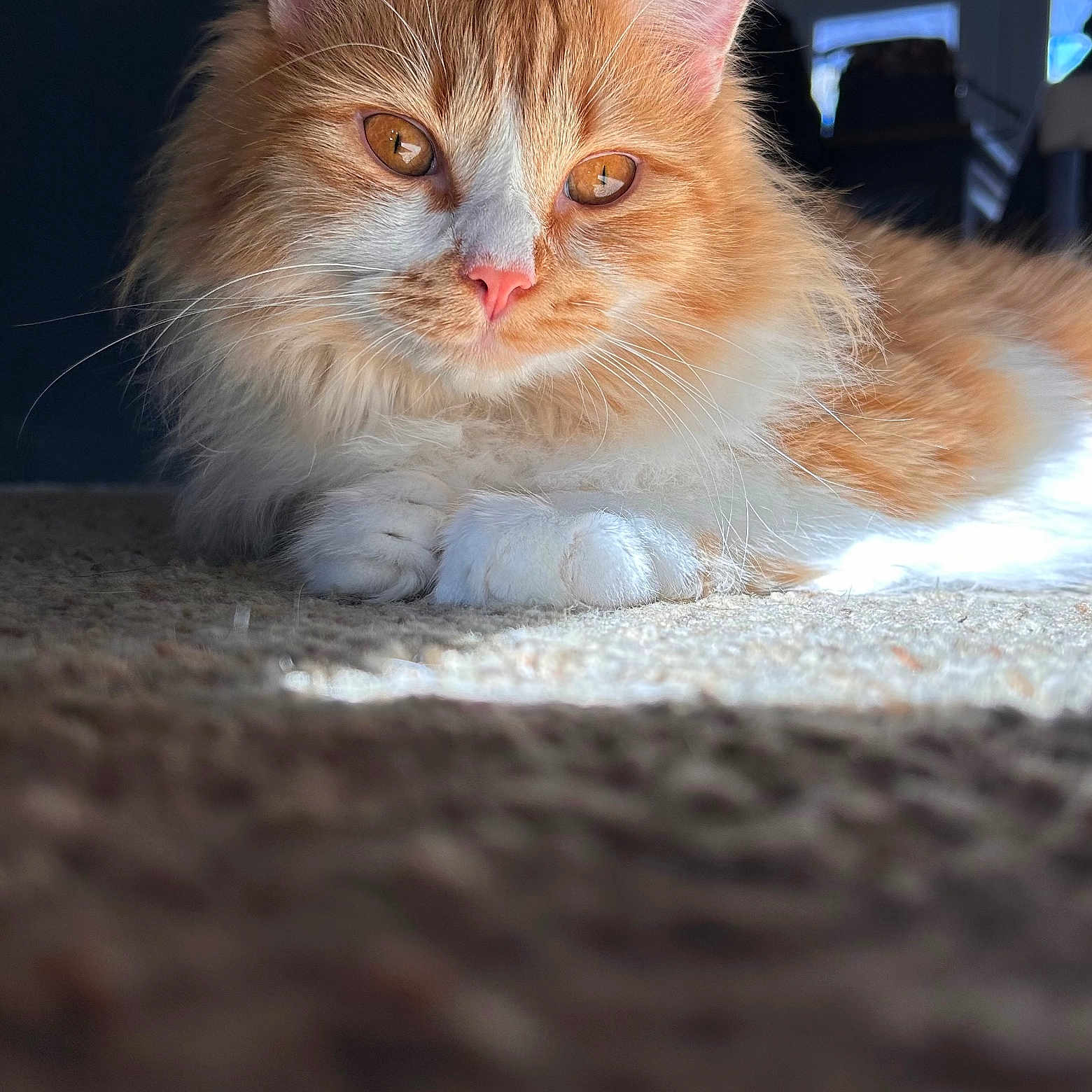 Rusty