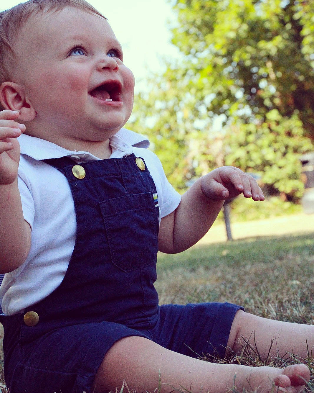 Kylo joined the competition — help win amazing prizes! baby_toddler_clothing, cool, finger, gesture, grass, grass_family, hand, happy, leaf, meadow, people_in_nature, person, plant, shoulder, sky, sleeve, smile, sunlight, t_shirt, toddler