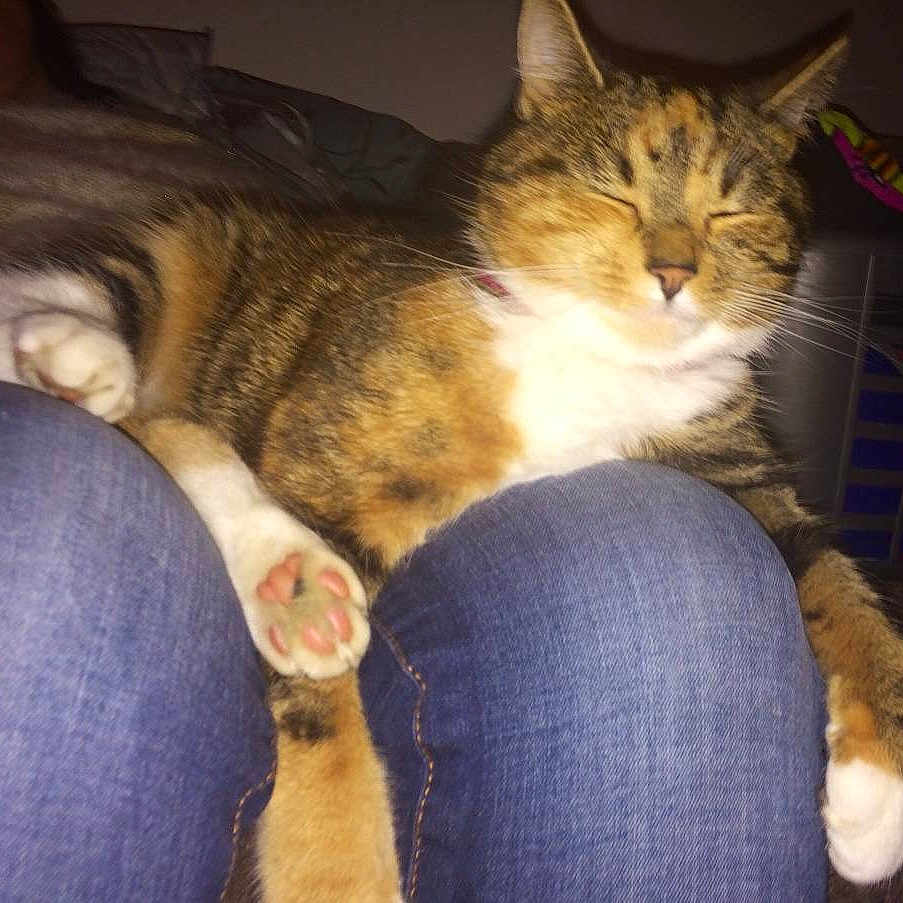 Clara joined the competition — help win amazing prizes!