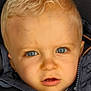 Malone participe au concours pour gagner de l'argent avec cette photo : baby, blonde_hair, blue_eyes, child, closeup, clothing, curious, cute, expression, eyelashes, face, head, jacket, outdoor_clothing, person, portrait, skin, toddler, young_child, zipper