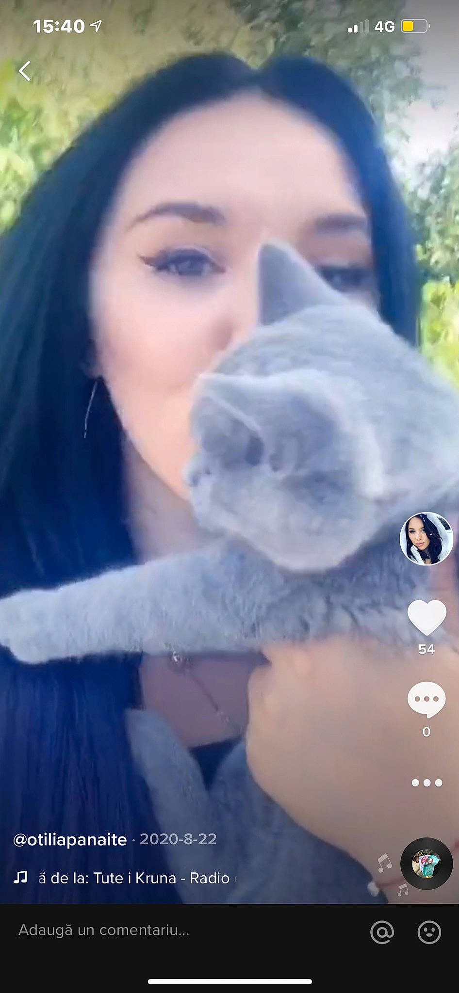 Sasa is registered to the contest to win money with this photo: companion_dog, ear, eyelash, fawn, felidae, fur, grass, happy, plant, plush, selfie, small_to_medium_sized_cats, snout, stuffed_toy, tail, teddy_bear, textile, toy, tree, whiskers