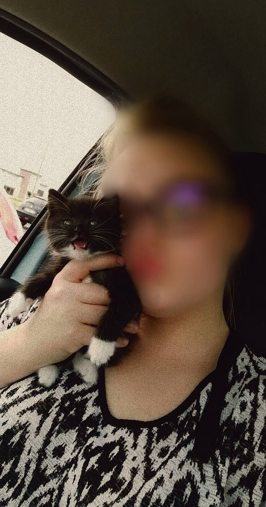 Chocapic participe au concours pour gagner de l'argent avec cette photo : black_hair, carnivore, cat, comfort, domestic_short_haired_cat, ear, eyelash, eyewear, felidae, fun, fur, gesture, glass, happy, long_hair, nail, sitting, small_to_medium_sized_cats, whiskers, window