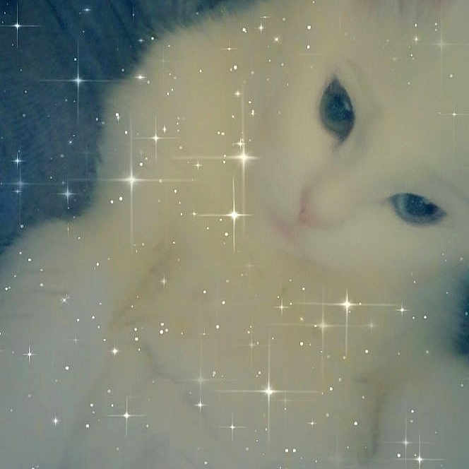 Pixi