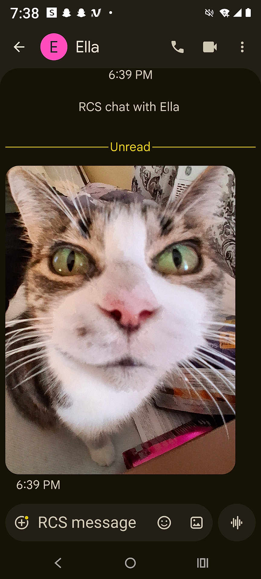 Curious is registered to the contest to win money with this photo: cat, tabby, close_up, green_eyes, pink_nose, whiskers, pet, indoor, portrait, curious, face, fur, paws, screenshot, messaging_app, chat_bubble, unread, mobile_ui, round_corners, cozy