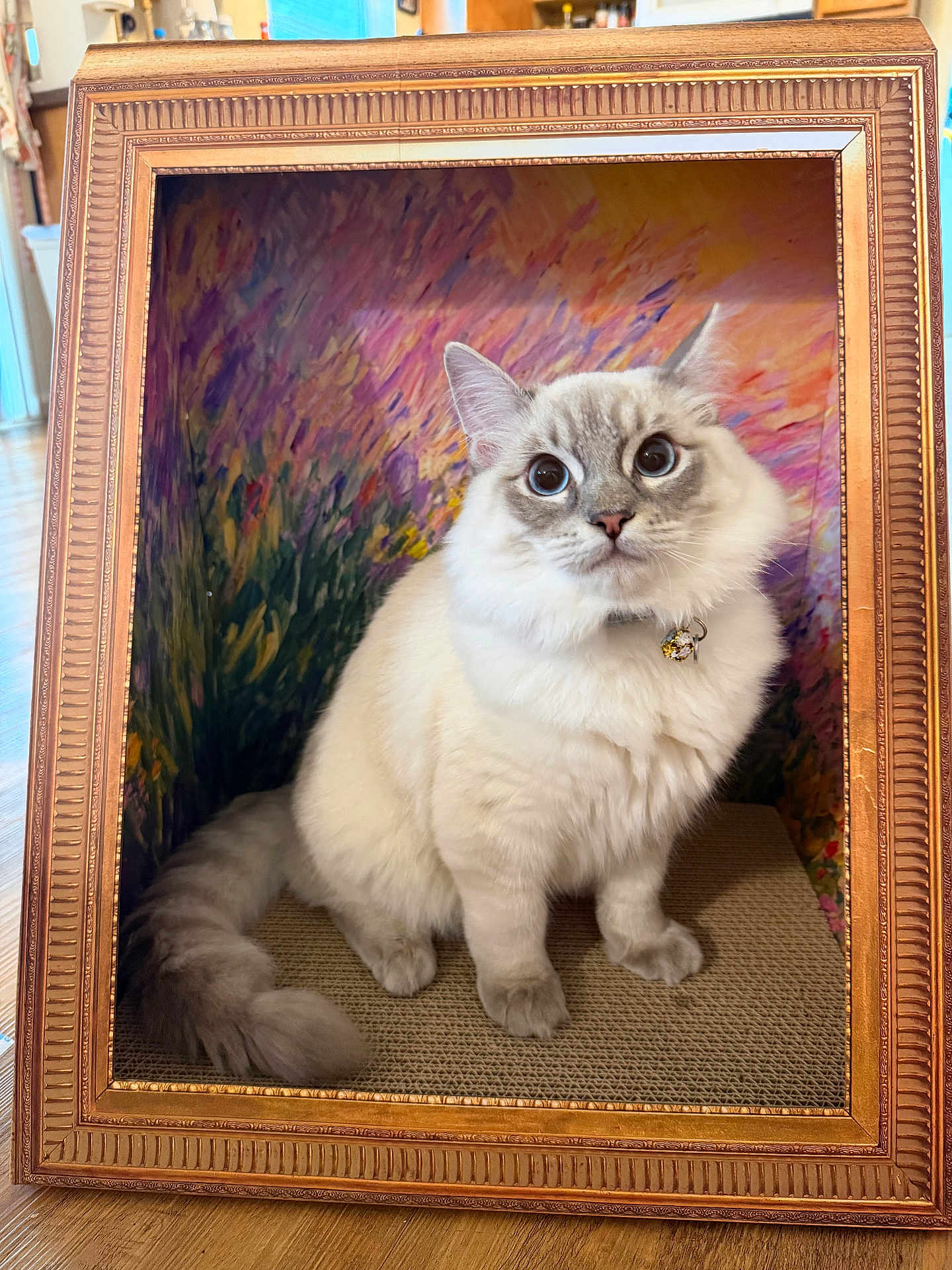 Mochi