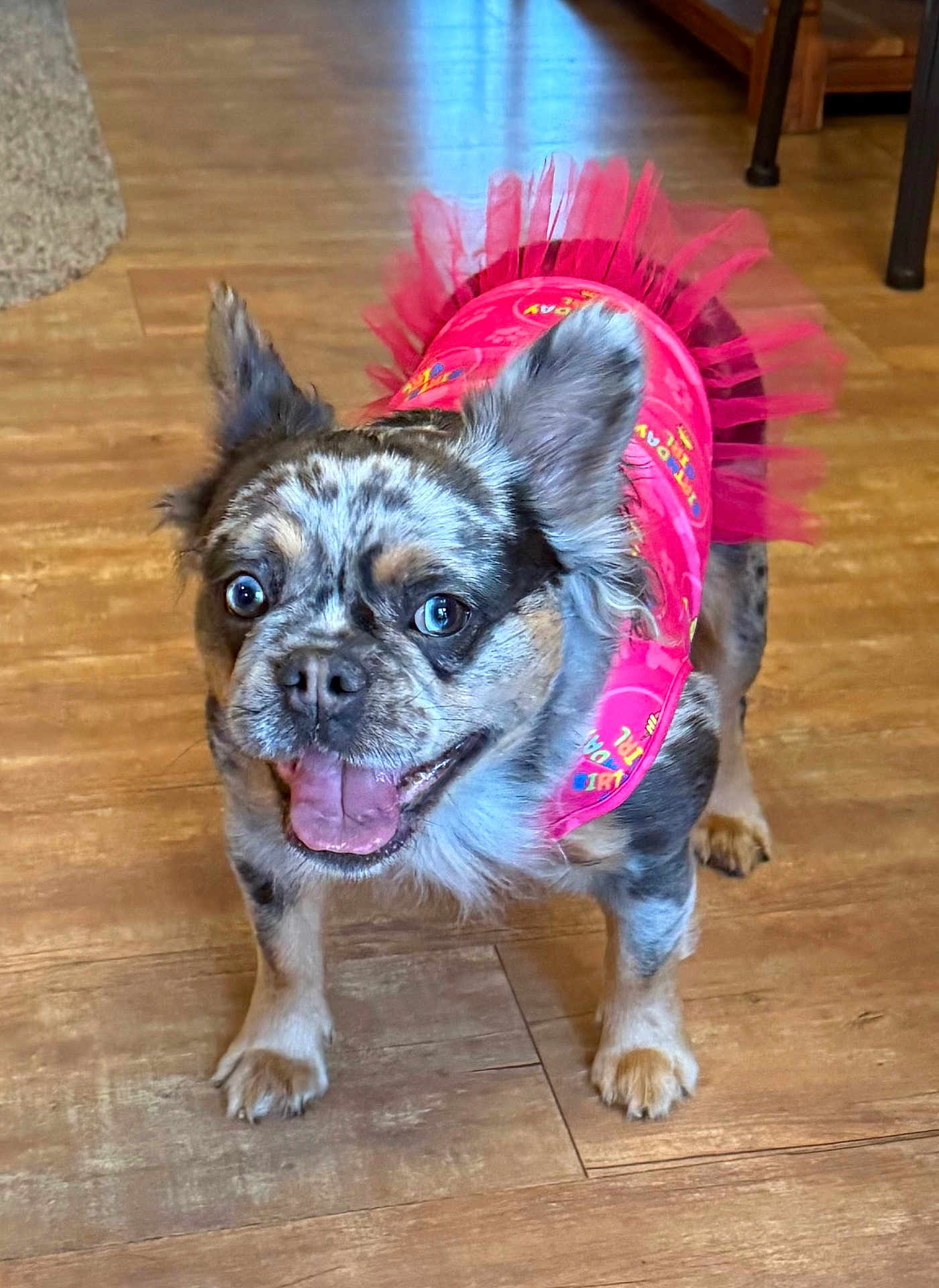 Suki