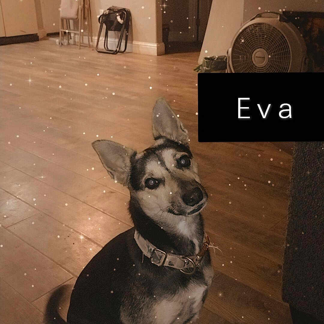 Eva