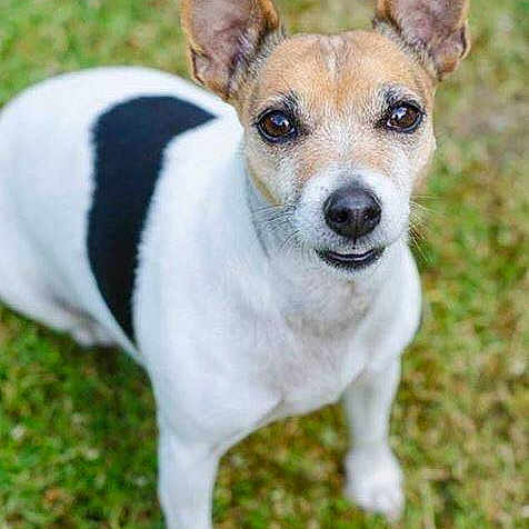 Matilda